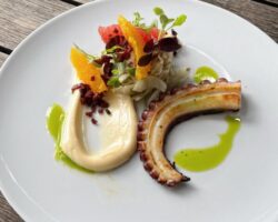 Pulpo Andreas Medewitz LaSalle ganz